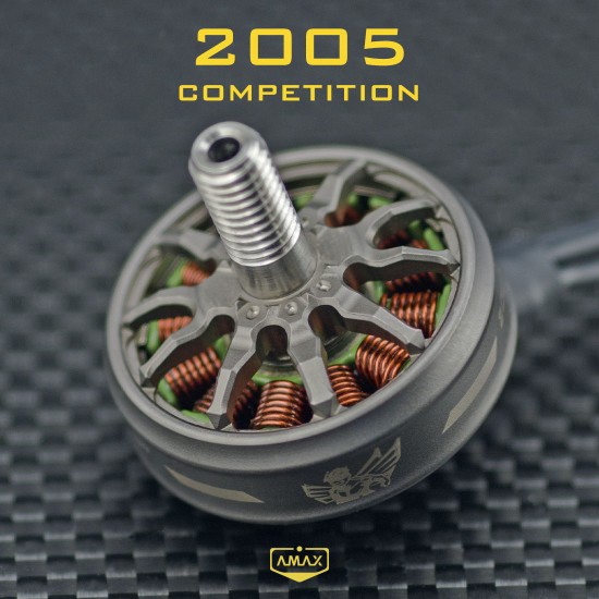 Brushless Motor 2005 Competition